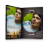 Charlie St. Cloud Icon 48x48 png